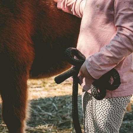 Familienhotel Replerhof Mit Kinderbetreuung Prägraten Екстериор снимка