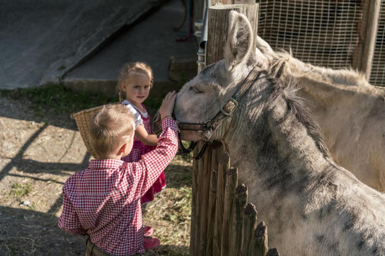 Familienhotel Replerhof Mit Kinderbetreuung Prägraten Екстериор снимка